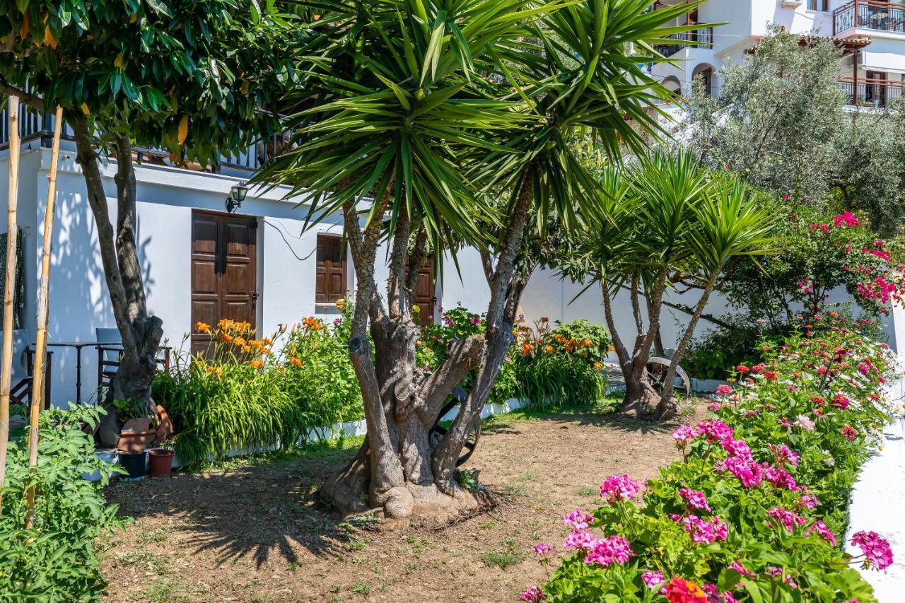 Ourania Apartment Σκόπελος Εξωτερικό φωτογραφία
