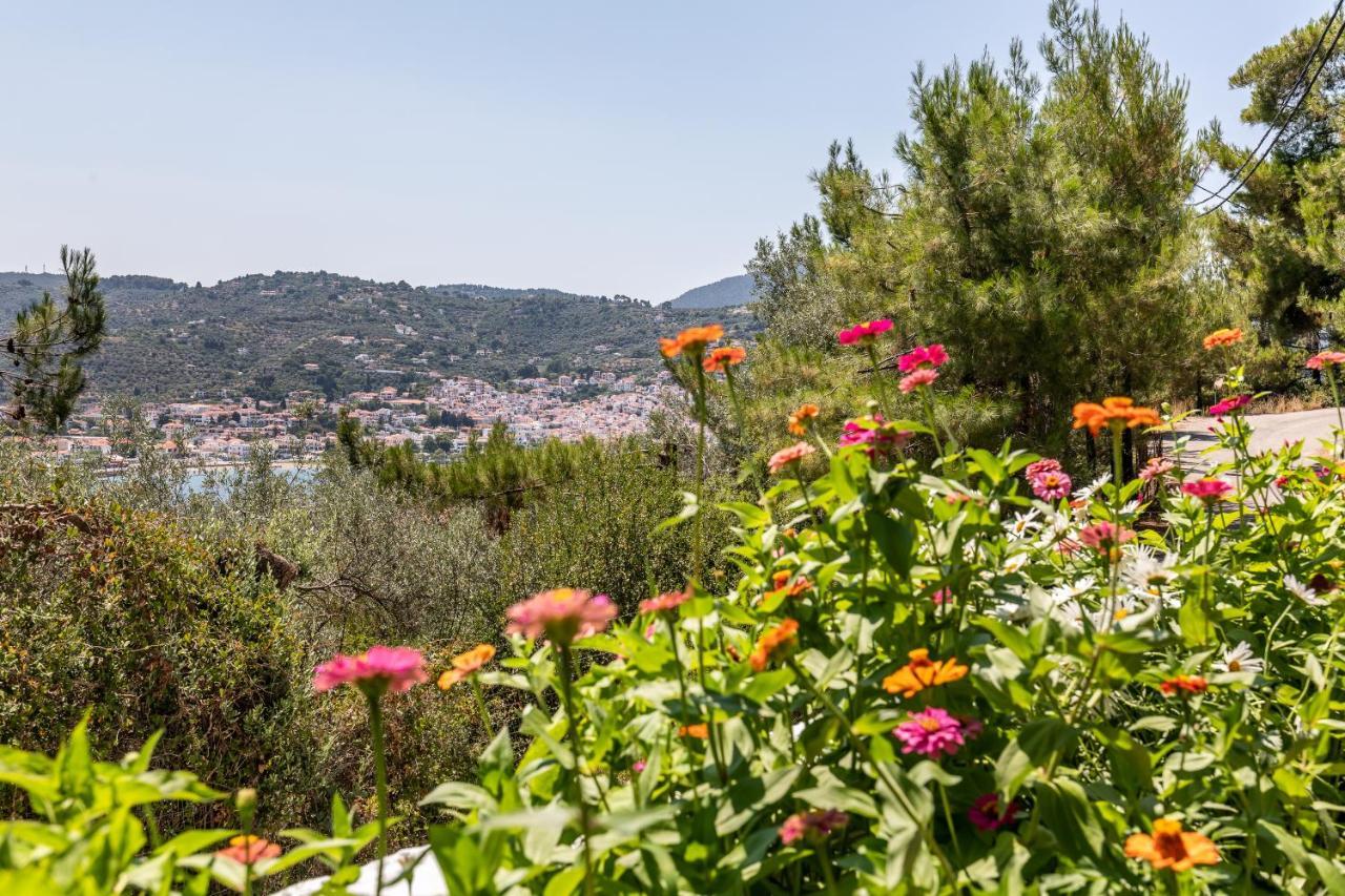 Ourania Apartment Σκόπελος Εξωτερικό φωτογραφία