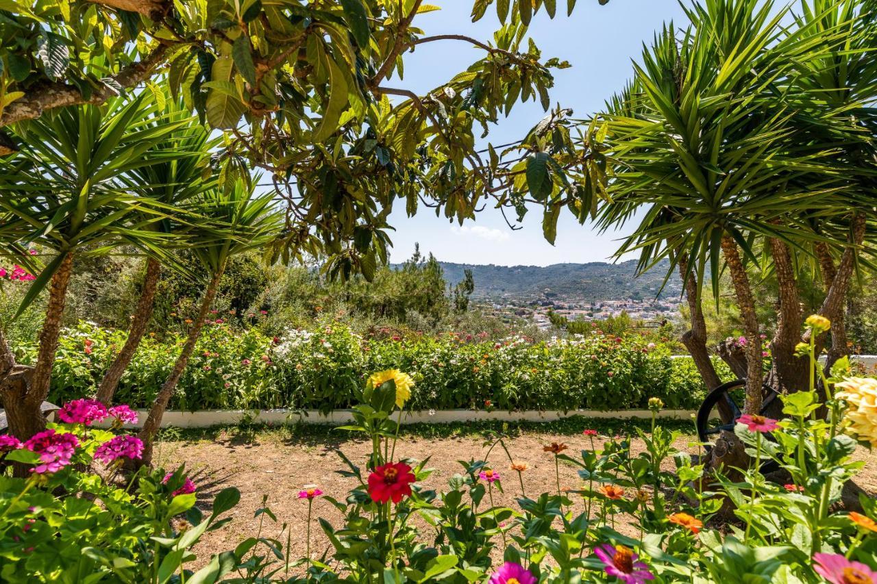 Ourania Apartment Σκόπελος Εξωτερικό φωτογραφία